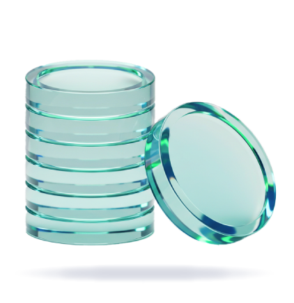 Finance & Accounting Execution